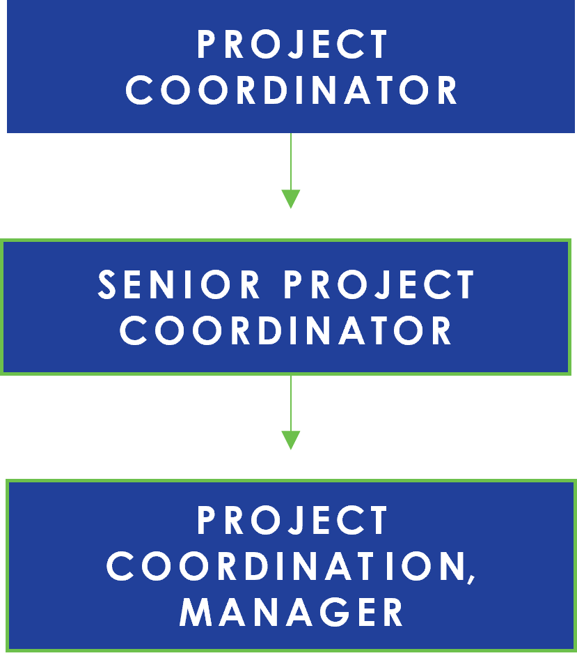 3 Project Coordinator 3