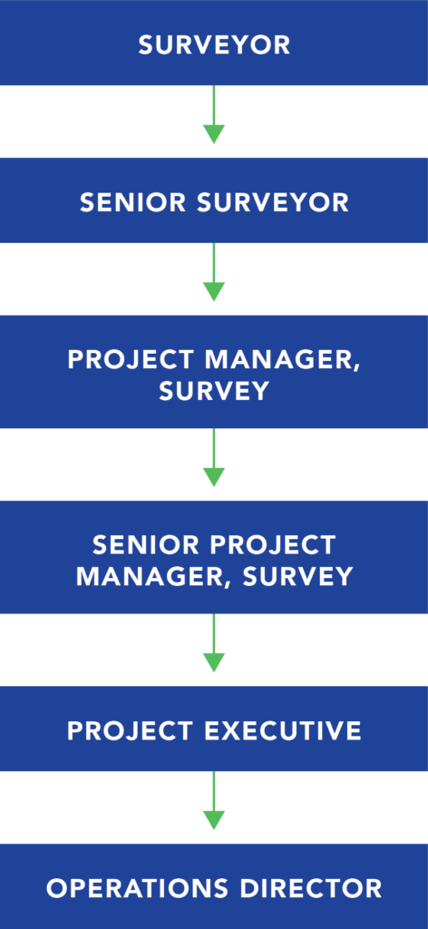 surveyor career pathway